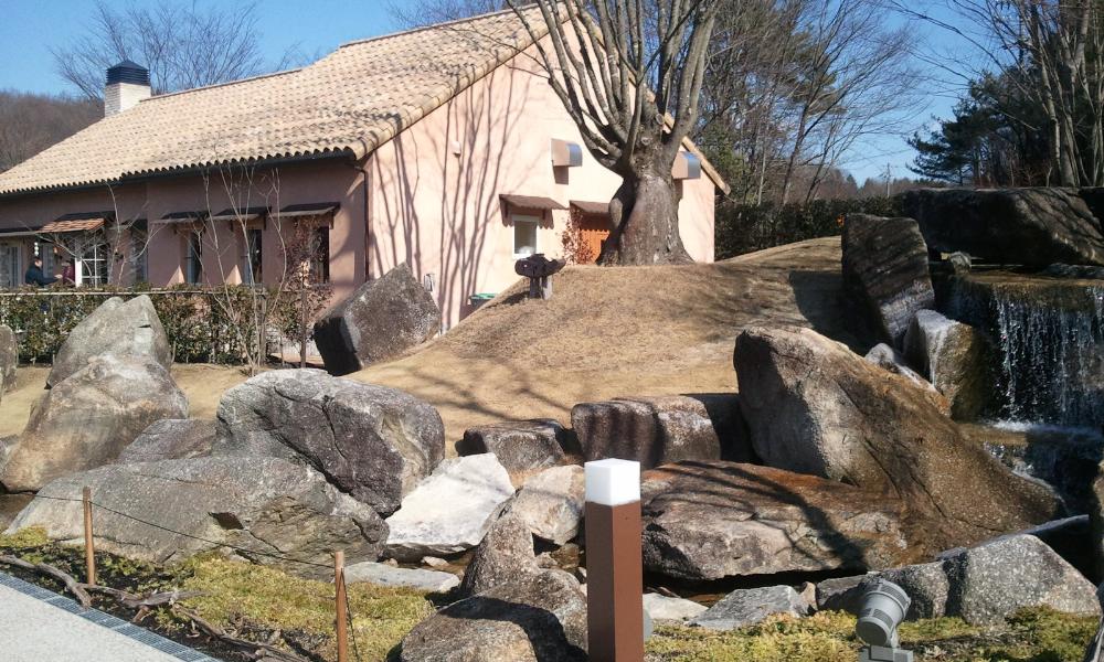 2012-01-29 11.40.32.jpg